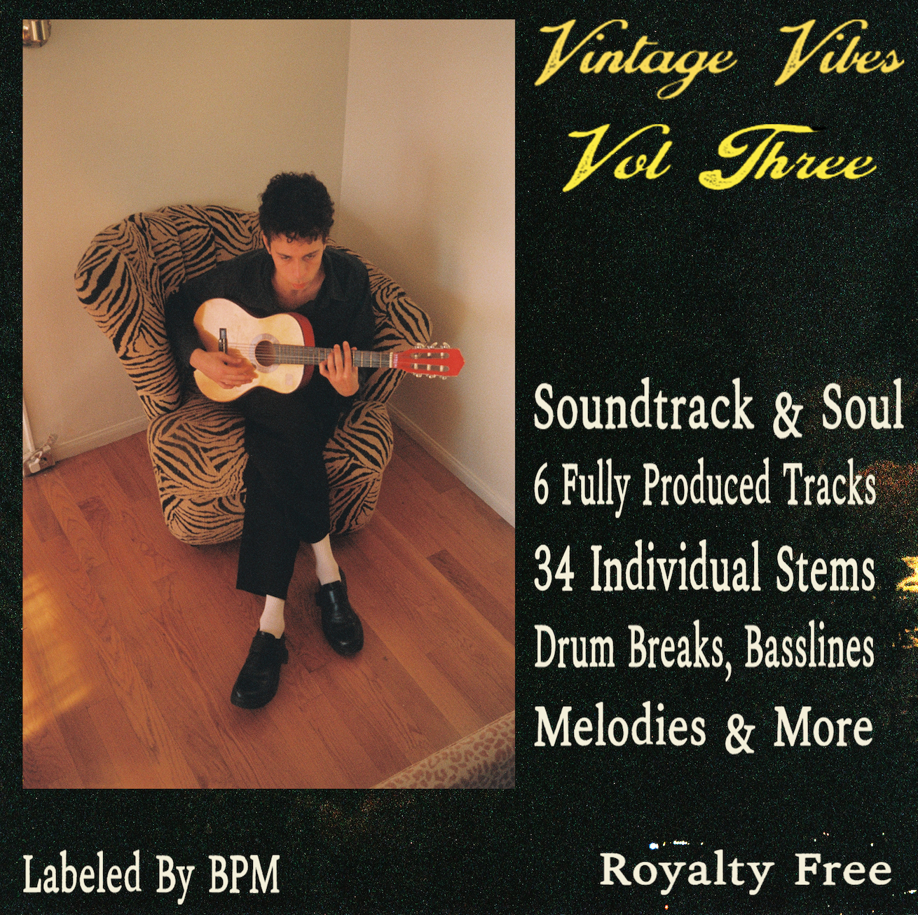 Vintage Vibes Vol 3: 70's / 80's Soul + Soundtrack Sample Pak Complete